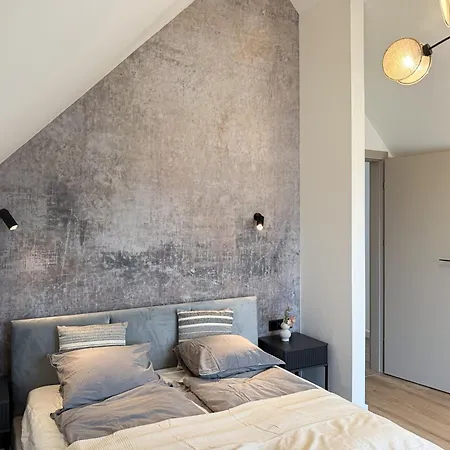 Premium Smart Residential Park House 别墅