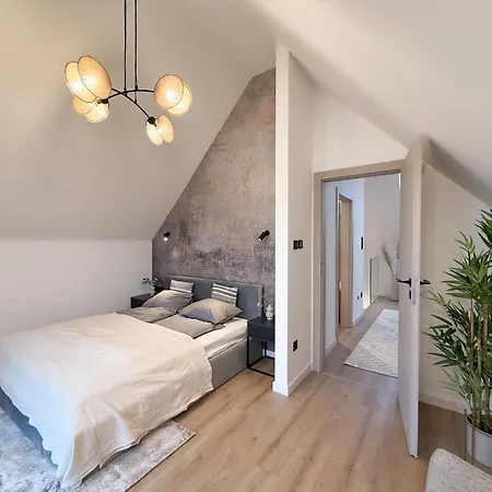 Premium Smart Residential Park House 别墅