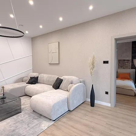 Premium Smart Residential Park House 别墅